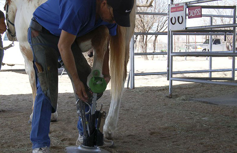 veterinary doing a podiatry on horseback