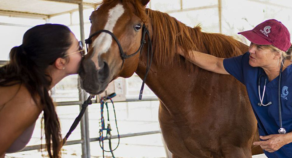 woman kissing a brown horse