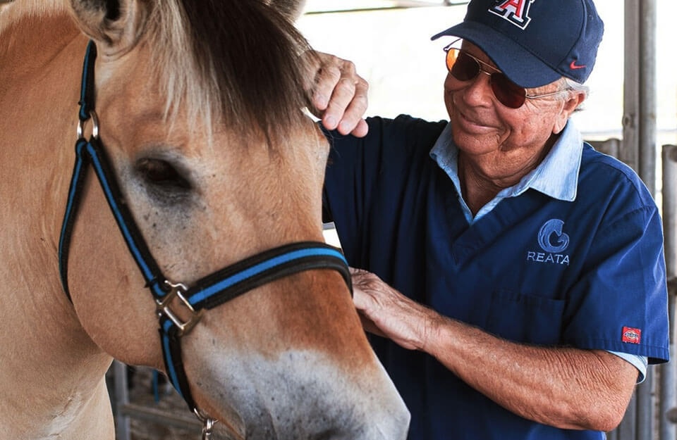 Laminitis Risk Factors in Horses