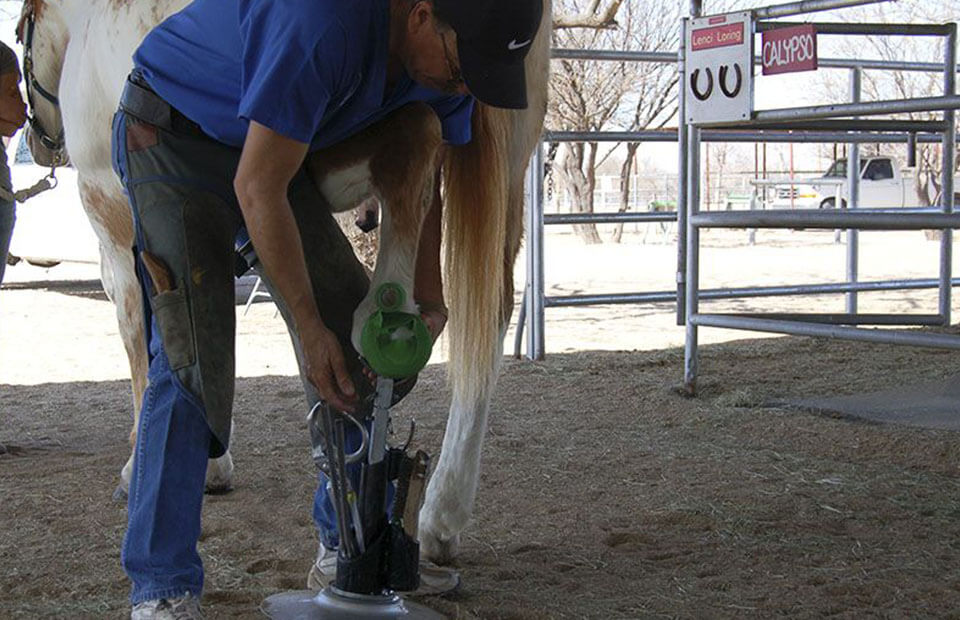 veterinary-doing-a-podiatry-on-horseback